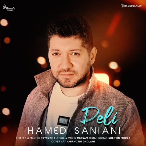 دانلود آهنگ دلی حامد سانیانی