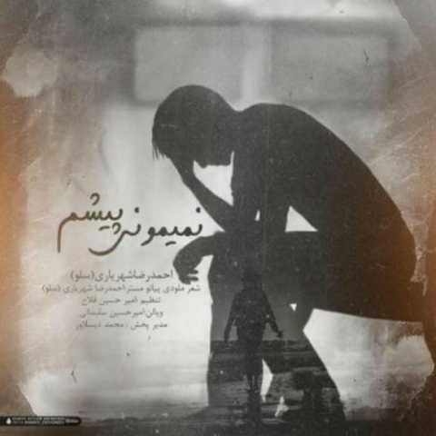 دانلود آهنگ نمیمونی پیشم احمد سلو