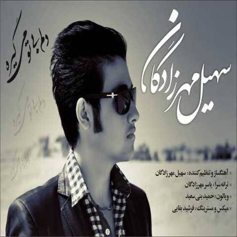 دانلود آهنگ دلم بی تو میگیره سهیل مهرزادگان