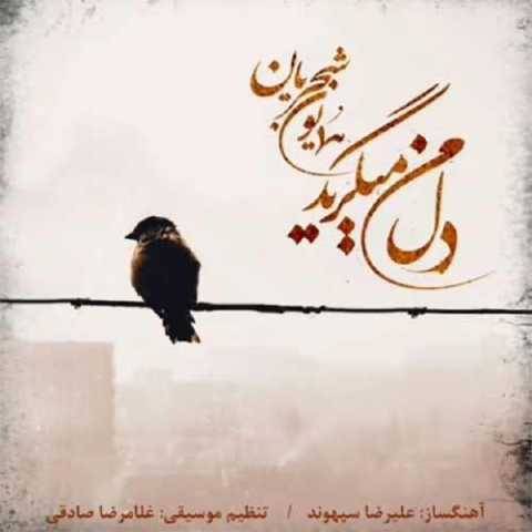 دانلود آهنگ دل من میگرید همایون شجریان