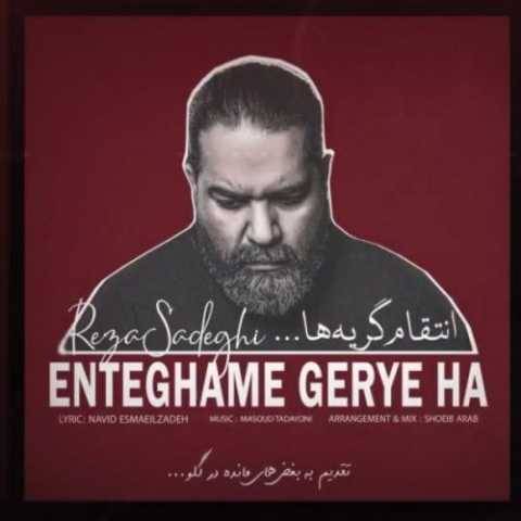 دانلود آهنگ انتقام گریه ها رضا صادقی