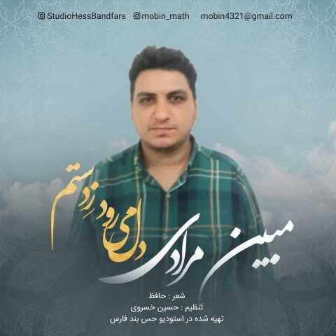 دانلود آهنگ دل می رود ز دستم مبین مرادی