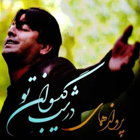 دانلود آهنگ آب طلب نکرده پرواز همای دانلود آهنگ آب طلب نکرده پرواز همای