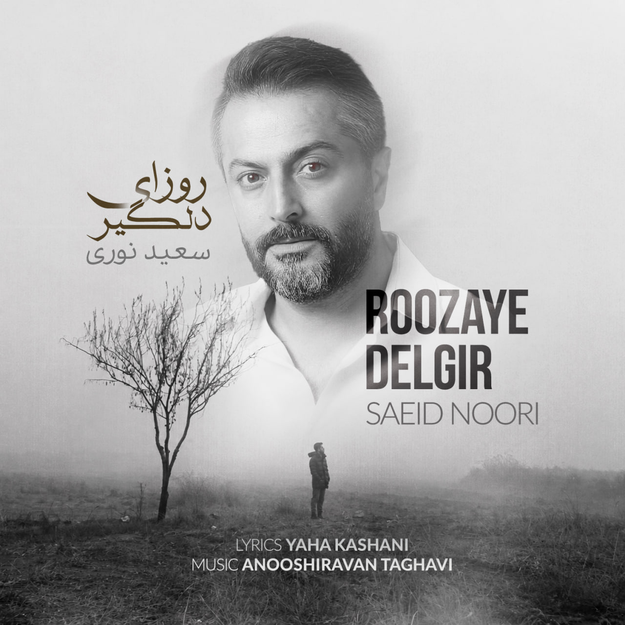 دانلود آهنگ روزای دلگیر سعید نوری